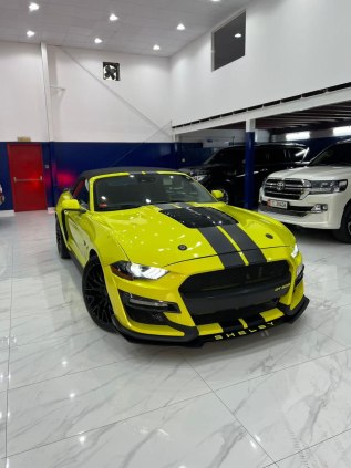 Ford Mustang Eco Boost Twin Turbo (Borla Exhaust) 2021