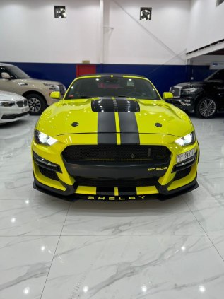 Ford Mustang Eco Boost Twin Turbo (Borla Exhaust) 2021