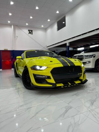 Ford Mustang Eco Boost Twin Turbo (Borla Exhaust) 2021