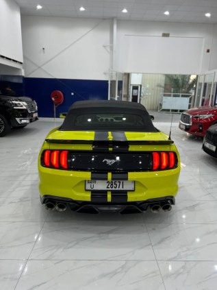 Ford Mustang Eco Boost Twin Turbo (Borla Exhaust) 2021