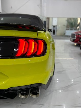 Ford Mustang Eco Boost Twin Turbo (Borla Exhaust) 2021