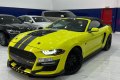 Ford Mustang Eco Boost Twin Turbo (Borla Exhaust) 2021